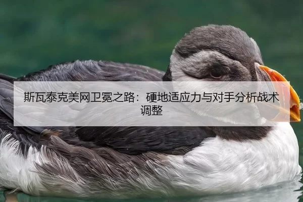 si-wa-tai-ke-mei-wang-wei-mian-zhi-lu-ying-di-shi-ying-li-yu-dui-shou-fen-xi-zhan-shu-tiao-zheng-3-810.jpg