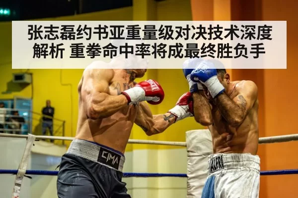 heavyweight boxing match