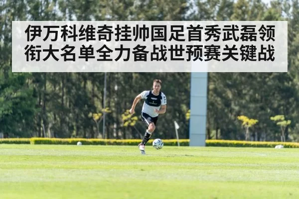 伊万科维奇挂帅国足首秀武磊领衔大名单全力备战世预赛关键战
