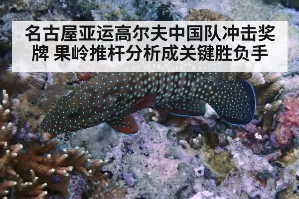 名古屋亚运高尔夫中国队冲击奖牌 果岭推杆分析成关键胜负手
